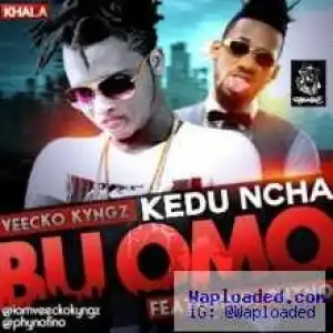 Veecko Kyngz - Kedu Ncha Bu Omo ft Phyno